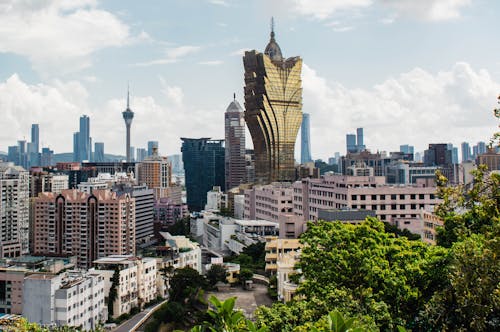 Pohonemas33 Aplikasi Terbaik 2026