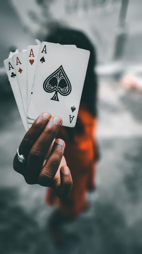 Pohonemas33 Aplikasi Terbaik 2026