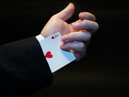 Pohonemas33 Situs Online Terbaik 2026