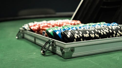 Pohonemas33 Promo Menarik Terbaik 2026